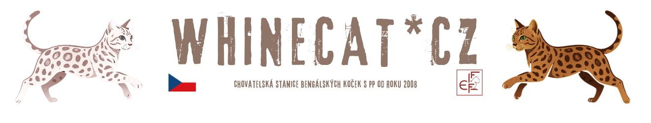 Whinecat - chovatelská stanice Bengálských koček